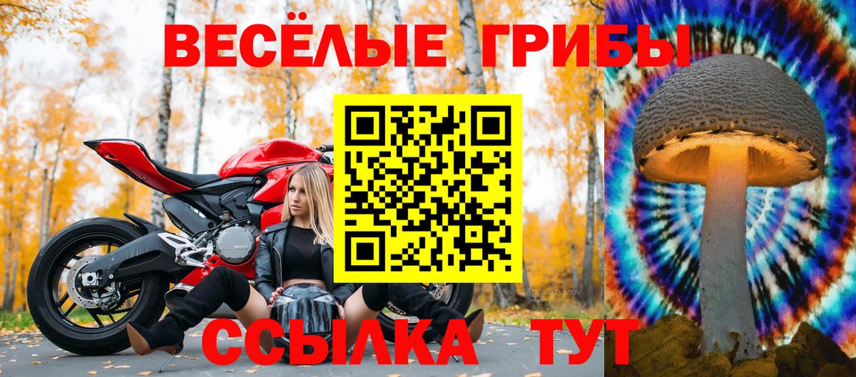Белорецк  Галлюциногенные грибы прущие грибы  Псилоцибиновые грибы ЛСД  Вход с VPN 