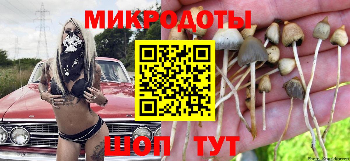 Псилоцибиновые грибы GOLDEN TEACHER Белорецк