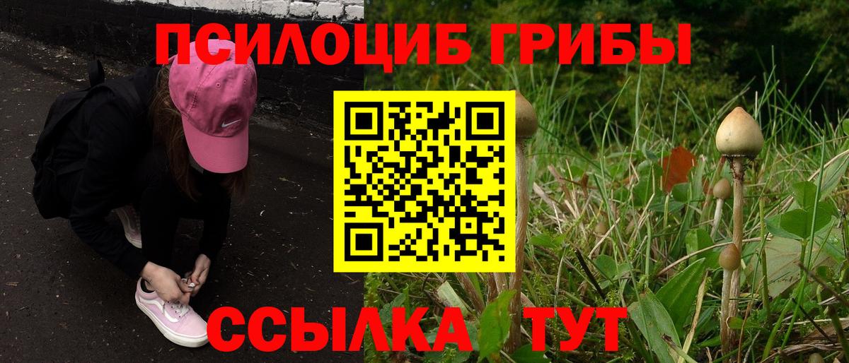 Псилоцибиновые грибы MAGIC MUSHROOMS Белорецк